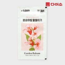 [다이소]봉숭아물들이기-12231