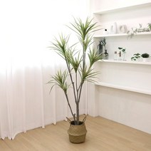 기타 바보사랑[조아트]고급 인조나무 조화화분 드라세나 마지나타 180cm[무료배송]