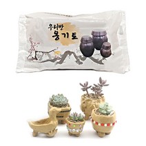 [홈앤스쿨] 우리반 옹기토 찰흙 약400g (30개입) 점토 공예 미술