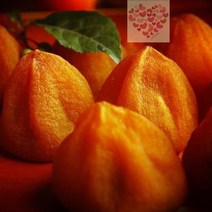 곶감 선물 세트 건시 특급 국내산 1kg 상주, 1개