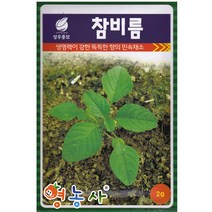 참비름 씨앗 2g