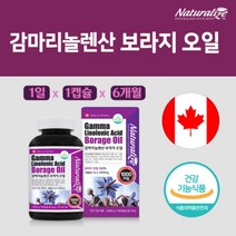 월경 생리할 때 생리주기 불규칙 불편 완화 개선 조절 자궁 에 좋은 감마리놀렌산 호르몬 불균형 영양제, 1BOX(6개월분)