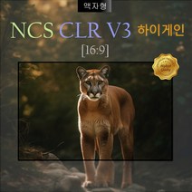[NCS] 엔씨에스 (DCS) PREMIUM CLR V3 하이게인 광학 액자형 100인치 스크린