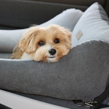 강아지 카시트 고양이 카시트 깔끔 커버분리형 리토가토 그레이 / 카시트+안전고리1세트, 그레이 체크