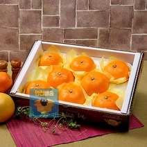WM [참다올] 명품 제철 제주 천혜향 3kg(12-15과) WM, 상세페이지 참조