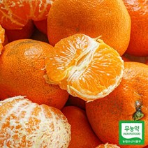 고당도 친환경 무농약 비가림감귤(3kg 가정용 선물용 무선별)~~SALE!!