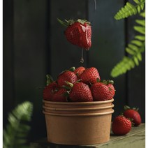 딸기 고령 최상급 프리미엄 설향 딸기 (당도보) 1팩 800g 900g 2팩 1.6kg 1.8kg 1, 1팩 24~30구 900g