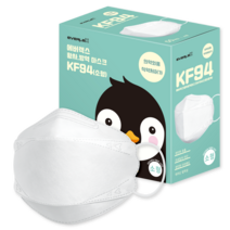 국산 이지브레이스 KF94 마스크 소형 검정 개별50매, 50매