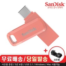 샌디스크 SDDDC3 울트라듀얼 TYPE-C OTG USB3.1 G46 USB메모리, 128GB