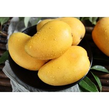 어르신 2kg 비타민C 망고먹는법 애플망고 수험생 남여노소 피로 건강식 성인병예방, 상세페이지 참조, 상세페이지 참조