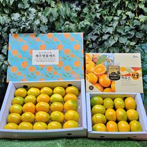 제주 고당도 하우스 감귤, 3kg 소과(2S), 1개