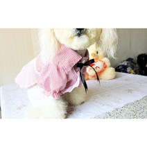 냐냐큐티 강아지옷 리본 블라우스 애견의류 남방 특이한 명풍 블라우스 셔링셔츠푸들 말티즈 닥스훈트, 리본블라우스(블루)