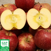 강원도 양구 햇 부사사과 선물세트 5kg 고랭지사과 강원도사과 선물용 명절사과선물세트, 양구 부사사과 실속 5kg 17-19과