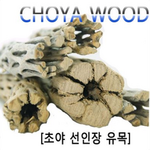 고피쉬 초야유목 9cm (초야우드/선인장유목/새우은신처), 1개