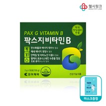 조아제약 팍스지 비타민B 식욕부진 체력저하 개선 영양제, 100포+헬시링크 마스크1팩, 1개