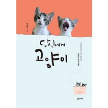 당신에게 고양이:시골 집사와 다섯 냥이의 명랑한 동거생활, 꿈의지도