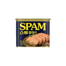CJ 제일제당 스팸 클래식 340g 20개