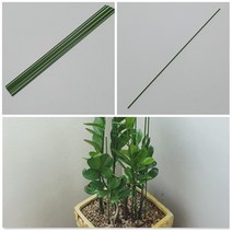 스틱형 식물 줄기 지지대 강낭콩 지지대 길이선택 50cm 10p/ 80cm 10p 화분 텃밭 식물 막대 지지대
