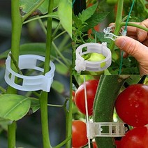 50100pcs 토마토 매달려 격자 포도 나무에 대 한 30mm 플라스틱 식물 지원 클립 식물 온실 야채 정원 장식 연결, 100개