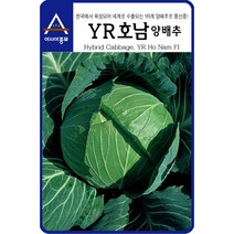 아시아종묘 양배추씨앗 YR호남 양배추 (500립)