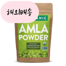 FGO 암라가루 amla 암라 파우더 226g, 1개