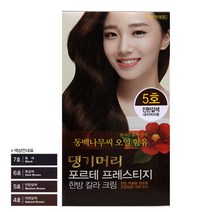 댕기머리 포르테 프레스티지 새치머리용 한방염색약, 5호 진한갈색, 1개+마술패치2매