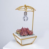 우산프레임 미니 도자기 다육 꽃 화분 꽃키우기 화병