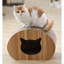 더블랙캣 숨숨집 스크레처 고양이 sc-250, 우드, 10개