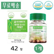 HD생활건강 체지방 감소 02 녹차 추출물 카테킨 다이어트 무기질 Catechin Diet 효능 700mg x 42정 1개, 1통