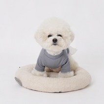 데일리 원형쿠션 강아지쿨방석 푹신한강아지방석 강아지쉼터 펫용품 개방석 말티푸, 소형/아이보리