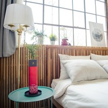 오즈디 꽃 화분소화기 명절 스승의날 선물 화병 꽃병 화초 축하용품, 레드컬러-화초없이 화분소화기만