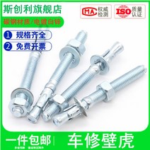 앙카 아연도금 도마뱀 차 너트 래핑 엘리베이터 전용 팽창 볼트 M8M10M20 2526127437, 10 *80 (5커버 )