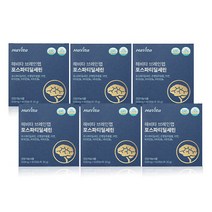 해비타 브레인랩 포스파티딜세린 500mg 기억력 인지력 두뇌건강 영양제 60캡슐, 브레인랩 6개 (6개월분)