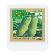 늘품애호박씨 70립 애호박 씨앗 대장 KS종묘