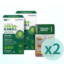 코오롱제약 기억력 혈행엔 징코플러스 500mg x 60정(2박스 당) / 은행잎추출물 아연, 30정, 2개