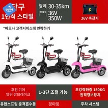 세발 배달 전기자전거 삼륜 전동오토바이 접이식, 36V 싱글 드라이브: 축전 1인승  작동 도난방, 48V