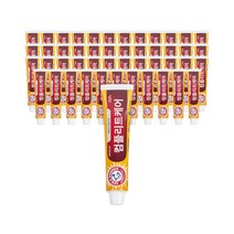 암앤해머 덴탈케어 컴플리트케어 치약, 100g, 48개