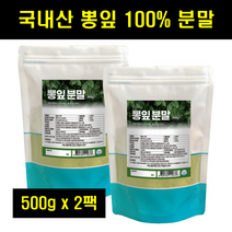 뽕잎 상엽 가루 분말 국산 국내산 뽕잎 가루 분말 상엽 뽕나무잎 100% 100프로 100퍼센트 500g 2팩