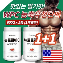 코스트코 트레이더스 단백질 쉐이크 프로틴 여자 남자 벌크업 운동보조제 딸기맛 초코맛 농축유청단백질 분말 가루 필수아미노산 비타민, 2통(딸기맛)