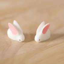 그린테라피 푸딩병 전구병 마리모세트, 작은 토끼