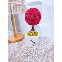 더별꽃 모스 토피어리 화분 집들이 개업용 선물 캘리그라피화분 DIY패키지, 모스그린(초록)