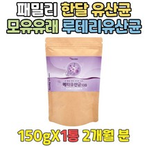 패밀리 한달 유산균추천 모유유래 루테리 듀얼유산균 부모님 장유산균추천 프락토올리고당분말 메타유산균 블루베리분말 배가부글부글 LACTOBACILLUS 장내유해균 장케어 유신균