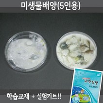 X-SCIENCE 미생물배양 5인용재료+5권교재+동영상 생물실험세트