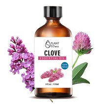닥터월드 대용량 천연 에센셜 오일 118ml 21종 아로마 테라피 마사지 디퓨저 비누 만들기, 뷰티 클로브 천연 에센셜오일 118ml