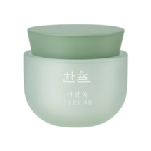 한율 어린쑥 진정크림 50ml 65ml 80ml x 1개, 어린쑥 진정 크림 50ml 1개