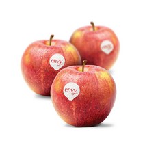 아침이슬사과 고당도 엔비 사과 프리미엄 정품 엔비 팬시 가정용 엔비 2.5kg~10kg 모음, 엔비 2.5kg 가정용 중과(과수랜덤)