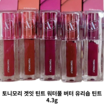 토니모리 겟잇 틴트 워터풀 버터 유리숍 틴트 01베리슈 02너티크림 03리치플럼 04로즈타르트 05모브브루 벨벳틴트 쿨톤 웜톤 데일리 컬러감 건조함