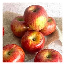 [경북사과] 국내산 부사 실속 사과 10kg (47-51과), 1개