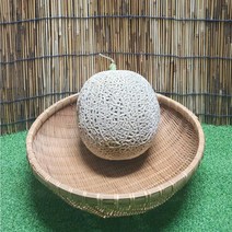 청년푸르츠 달콤한 머스크 멜론, 1개, 2kg내외