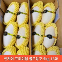 골드망고 썬자이 프리미엄 망고 310g내외, 10개